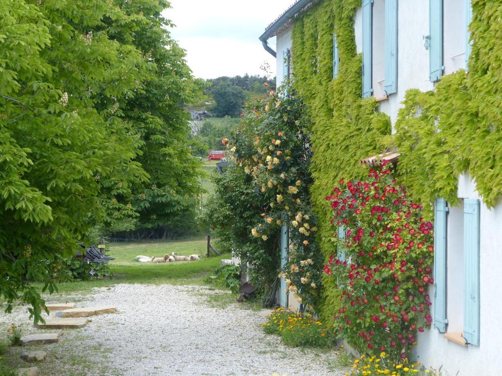 La Ferme Du Petit Segries Bed And Breakfast มูสติเยร์-แซ็งต์-มารี ภายนอก รูปภาพ